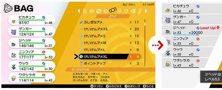 ポケモンソードシールド けいけんアメ の入手方法と獲得経験値 ポケモン剣盾 昇遊game